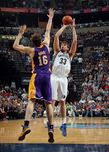 波切蒂诺果 波切蒂诺果